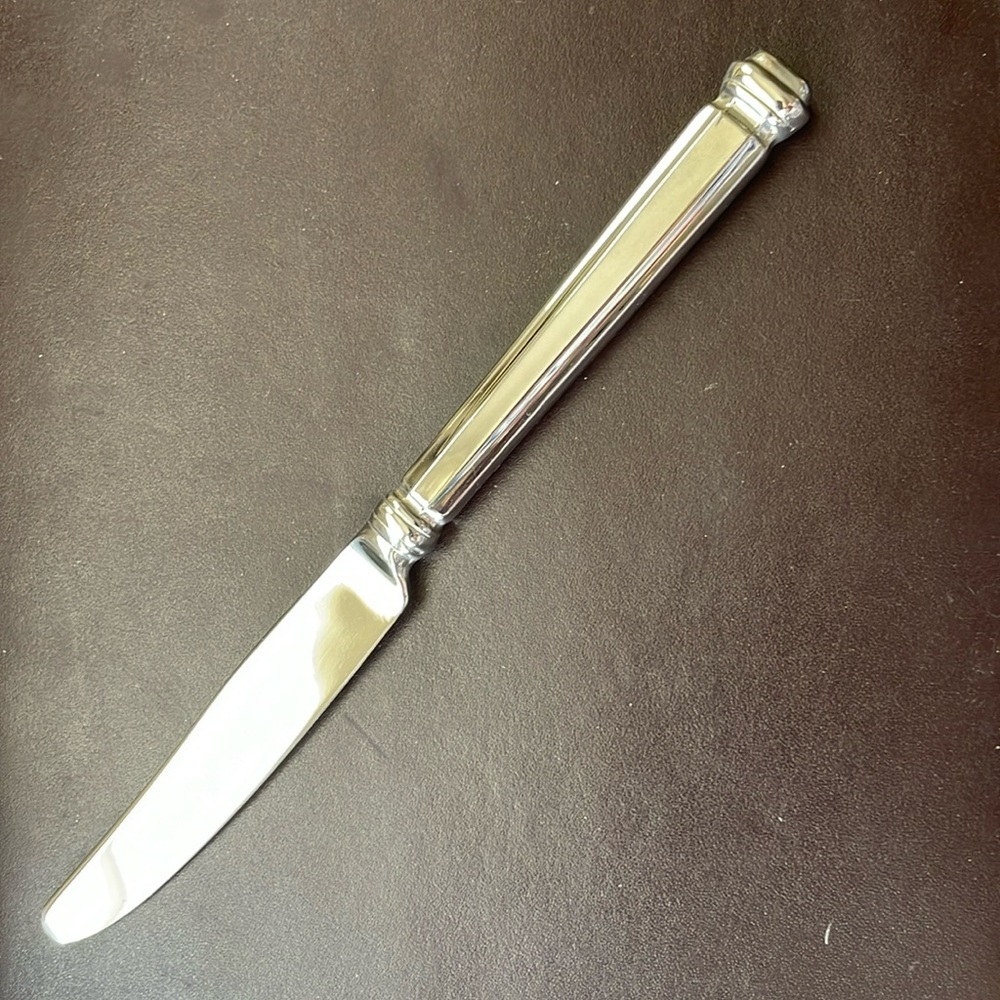 ☘️ kate spade Abington Square Stainless by LENOX~ French hollow handle knife